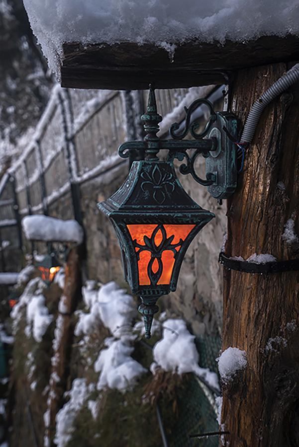 Meena Bagh Shimla Exteriör bild
